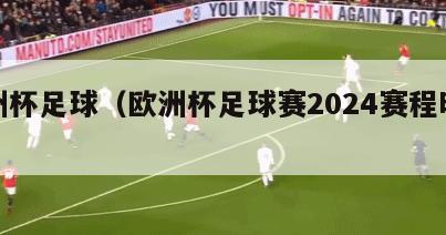 欧洲杯足球（欧洲杯足球赛2024赛程时间表）