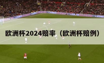 欧洲杯2024赔率（欧洲杯赔例）